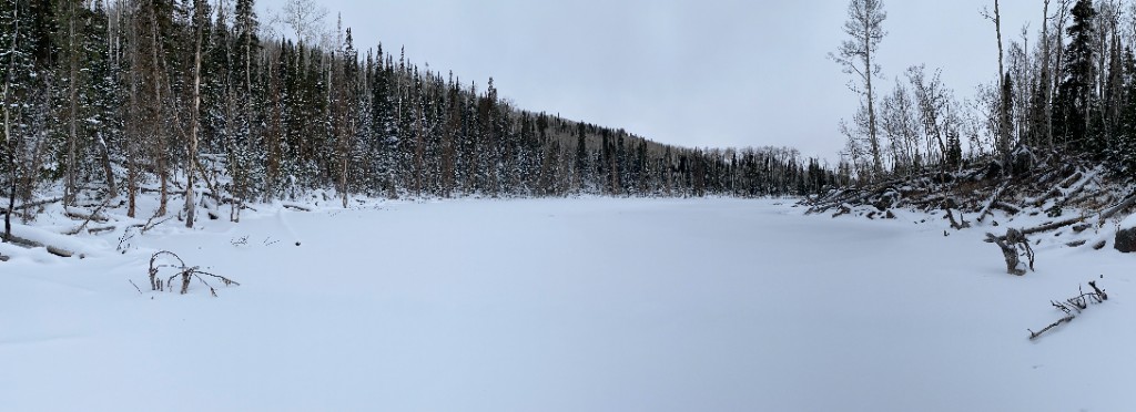 Snow-covered mountain meadow surrounded by evergreen forest in western hunting country